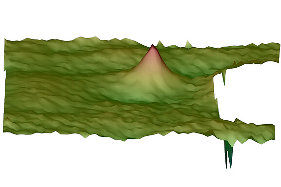 Classificazione personalizzabile